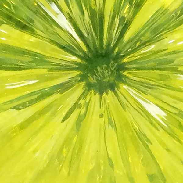 Neon Yellow Pumpkin with Green Stem - Image 3